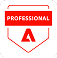 Professional Partner