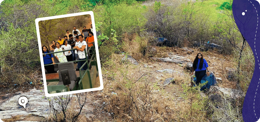 Story of Jungle Safari