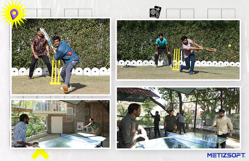 Play cricket
