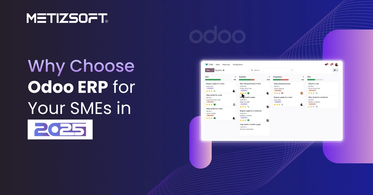 What Makes Odoo ERP the Top Pick for SMEs in 2025?
